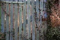 Old wooden fence with peeling green paint Royalty Free Stock Photo