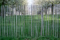 Old wooden fence protect cherry trees orchard Royalty Free Stock Photo