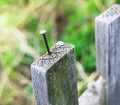 Old wooden fence and a rusty nail sticking out Royalty Free Stock Photo