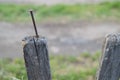 Old wooden fence and a rusty nail sticking out Royalty Free Stock Photo