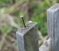 Old wooden fence and a rusty nail sticking out Royalty Free Stock Photo