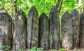 Old fence of sharpened logs in the forest Royalty Free Stock Photo