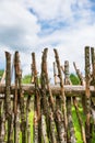 Old wooden fence. Traditional fence in ancient times in the Ukrainian village