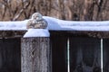 Old wooden fence under the snow Hotei or the laughing Buddha