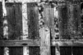 Old wooden fence in the village Royalty Free Stock Photo