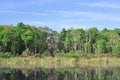 Old Dock At Salt Springs Run