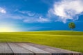 Old wooden floor beside green field on slope and tree with blue sky and clouds background Royalty Free Stock Photo