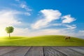 Old wooden floor beside green field on slope, tree and horse with blue sky and clouds background