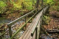 Old Wooden Foot Bridge Royalty Free Stock Photo