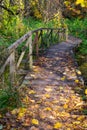 Pedestrian wooden bridge in the forest covered with autumn fallen leaves. Autumn in the forest. Royalty Free Stock Photo