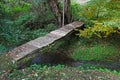 Old wooden footbridge across the stream