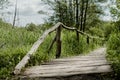Old wooden footbridge in the middle of wetland swamp area