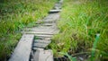 Old wooden footpath through grass Royalty Free Stock Photo