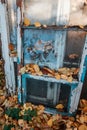 Old wooden frame window is abandoned covered with foliage Royalty Free Stock Photo