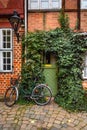 Old wooden front door decorated by plant in house. Luneburg. Germany