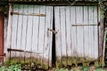 Old wooden garage doors. Covered with moss. Broken. Closed on hi Royalty Free Stock Photo