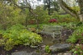 Old Wooden Garden Bench After a Rainfall Royalty Free Stock Photo