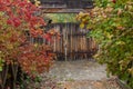 Old wooden gate with iron forging Royalty Free Stock Photo