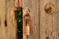 Old wooden gate with a padlock Royalty Free Stock Photo