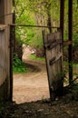 Old wooden gate in village. Forest background