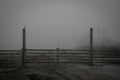 Old wooden gates and fog behind them. Royalty Free Stock Photo