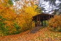 Old wooden gazebo and trees with colorful yellow-orange autumn leaves in a city park Royalty Free Stock Photo