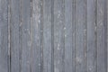 Old wooden gray fence made of planks with peeling paint, cracks and white spots close up. vertical lines. rough surface texture Royalty Free Stock Photo