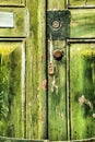 Old wooden green door with wrought iron details Royalty Free Stock Photo