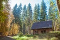 Old wooden house in beautiful forest in autumn. Royalty Free Stock Photo