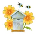 Old wooden house for bees, yellow calendula flowers, honey collection, watercolor painting in cartoon style