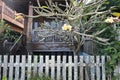 Old wooden house behind of trees and wooden fence Royalty Free Stock Photo