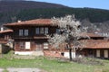 The old wooden house with the blossoming tree Royalty Free Stock Photo