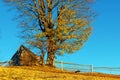 Old wooden house built on grassy hill against mountains Royalty Free Stock Photo