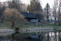 Old wooden house on the edge of forest near the lake in spring season. Fishing village. Traditional exterior in soviet or russian Royalty Free Stock Photo
