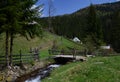 Old wooden house in the forest near the river and forest against the blue sky Royalty Free Stock Photo