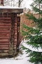 Old wooden house in the forest with snow and fir trees background, vertical Royalty Free Stock Photo