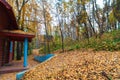 The old wooden house is located in a yellow autumn forest