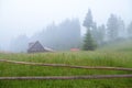 Old wooden house on lush green grass, spruce trees in fog on the background, wooden fence in the foreground. Carpathians Royalty Free Stock Photo