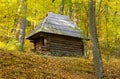 Old wooden house in middle of golden forest Royalty Free Stock Photo