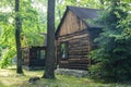Old wooden house in a pine forest Royalty Free Stock Photo