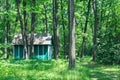 Old wooden house in a pine forest Royalty Free Stock Photo