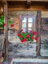 Old wooden house with red pelargonium flowers