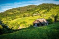 Old wooden house in summer Carpathian village Royalty Free Stock Photo