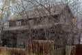 old wooden house in a thicket of branchy trees