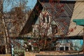 old wooden house thicket branchy trees old wooden house thicket branchy trees