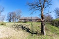 an old wooden house on the top of a hill and an old tree with a shadow in the grass on the background of a blue sky Royalty Free Stock Photo