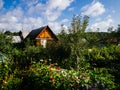 Old wooden house in the village. Own plot with a shack and a vegetable garden Royalty Free Stock Photo
