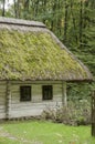 Old wooden house, white with a thatched roof covered with moss i Royalty Free Stock Photo