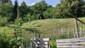 Old wooden house yard Royalty Free Stock Photo