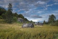 wooden houses in a village in northern Russia near the forest in summer